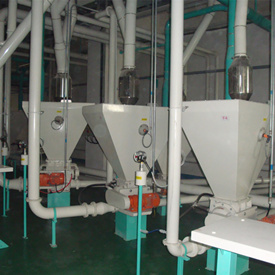 Rotary Valve